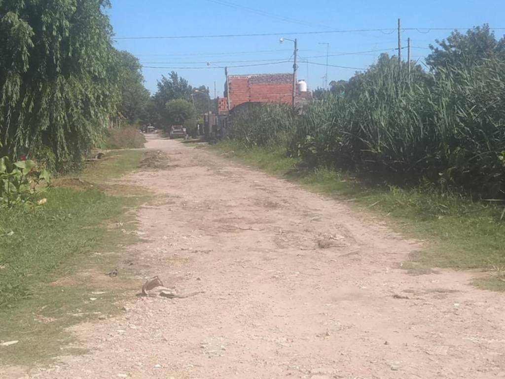 Pastos altos y falta de limpieza en Villa Elvira