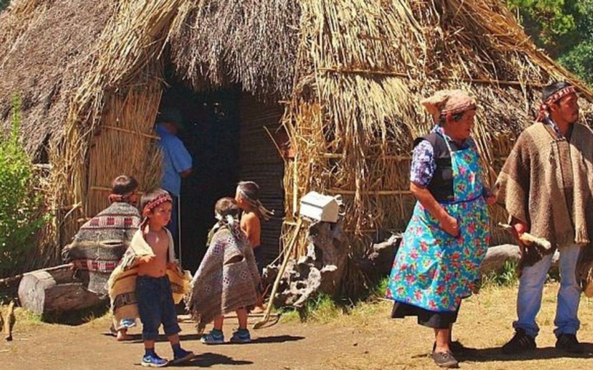 Entregan tierras del Estado a una comunidad mapuche: lo ordenó la justicia de Bariloche