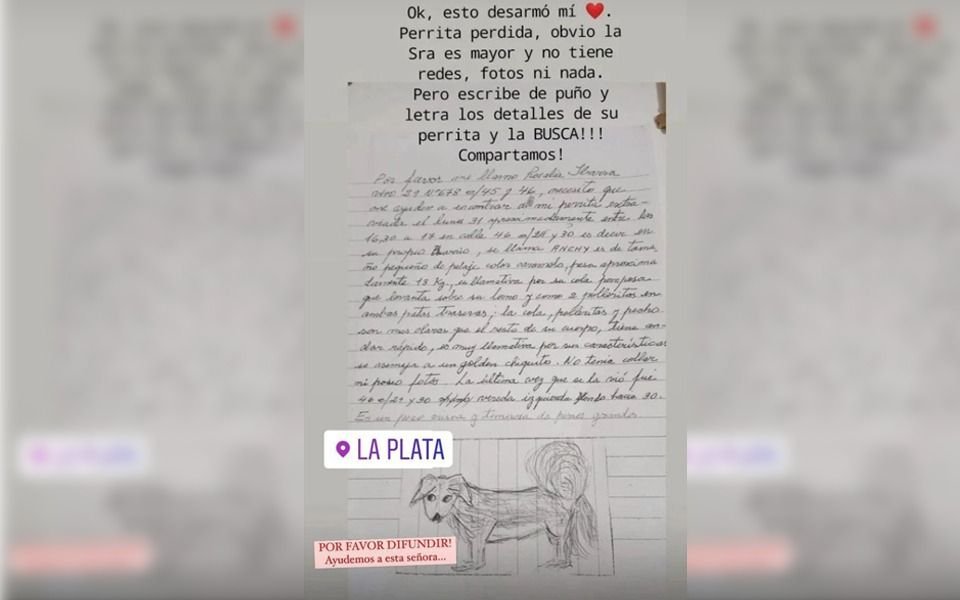 Perdió a su perrita y como no tenía foto, la dibujó: el tierno pedido de una abuela platense