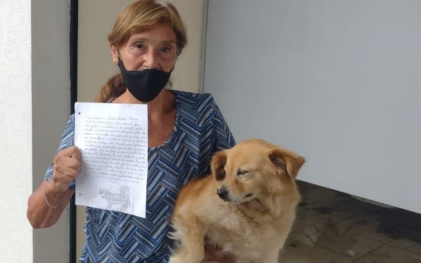 Final feliz: apareció "Anchy", la perrita que había sido dibujada por una abuela platense
