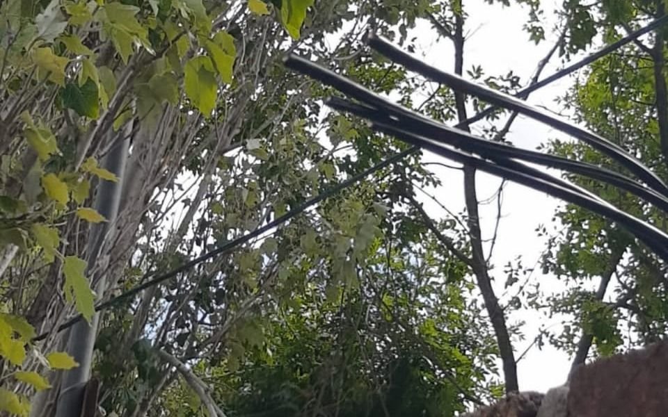 Club platense advirtió por reiterados robos de cables del tendido eléctrico: "Es un peligro"