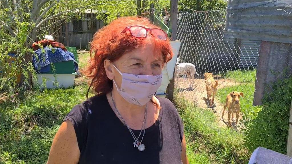 Dos refugios para perros piden auxilio en la Región