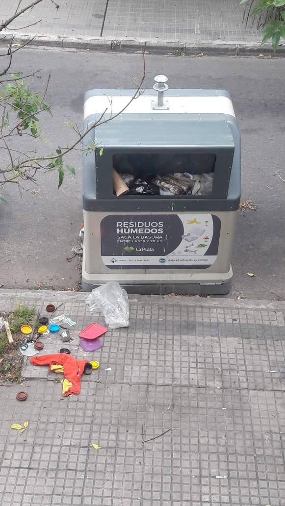 Señalan falta de higiene urbana en la zona de 59 y 17