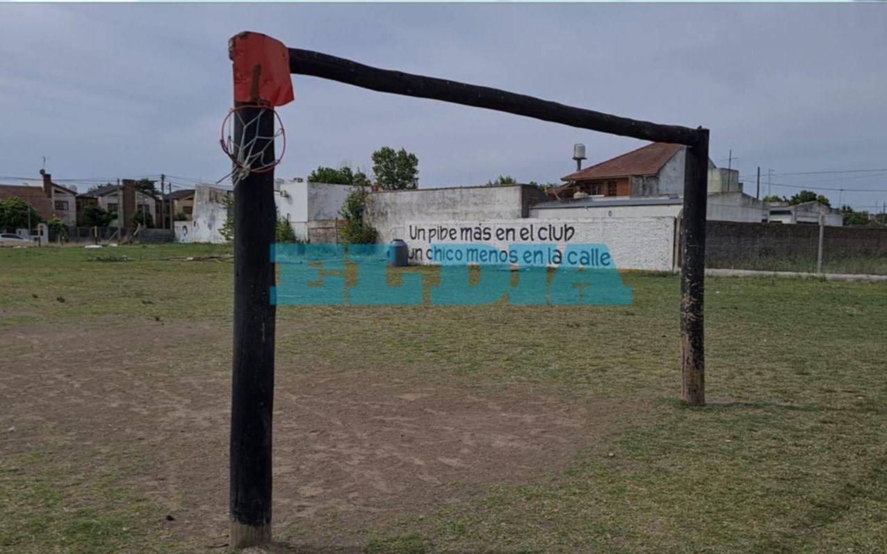La Plata V abre la convocatoria para jugadores: cuándo y para qué categorías será la prueba
