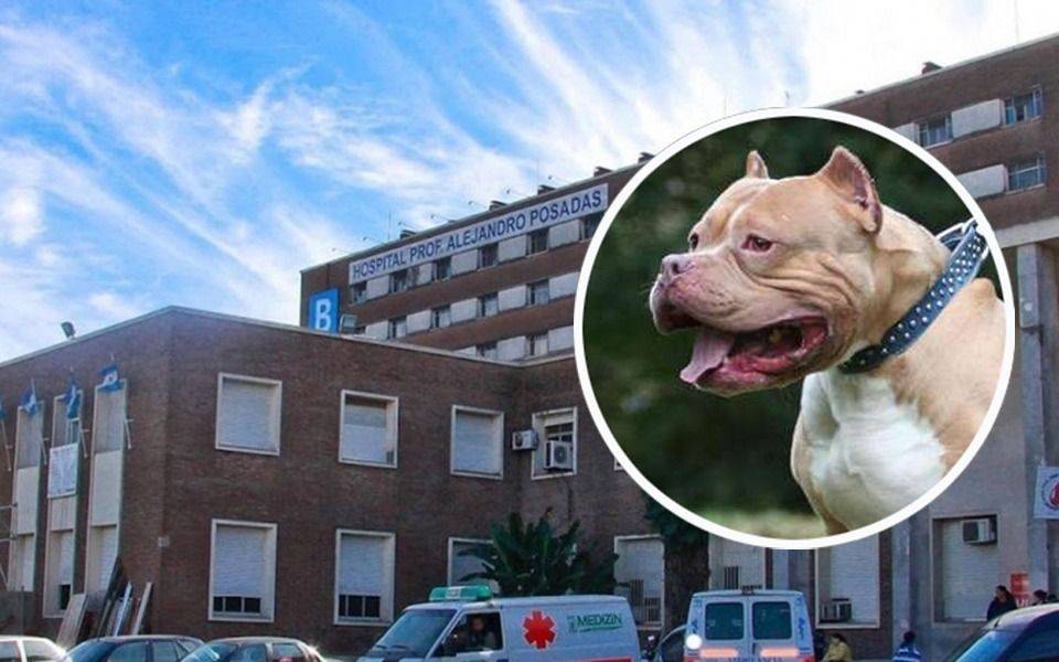 Un pitbull atacó ferozmente a una beba de 7 meses: le perforó un pulmón y está grave