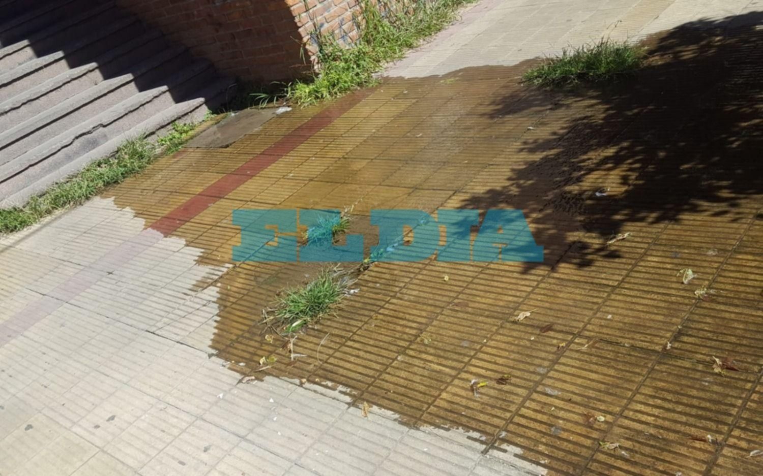 Gran pérdida de agua en Barrio Norte, a metros de la escuela Manuel Belgrano
