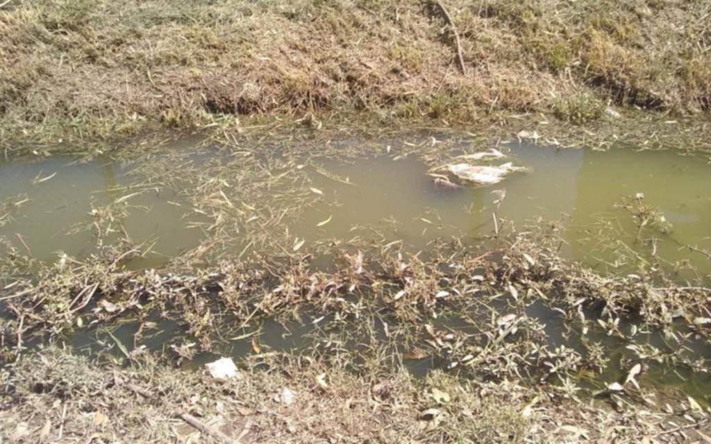 En El Peligro, denuncia por contaminación en una zanja
