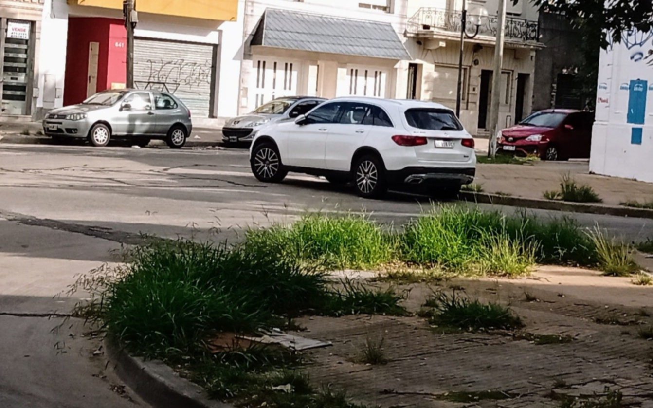 "Estacioná dónde quieras" ahora en versión "alta gama"  