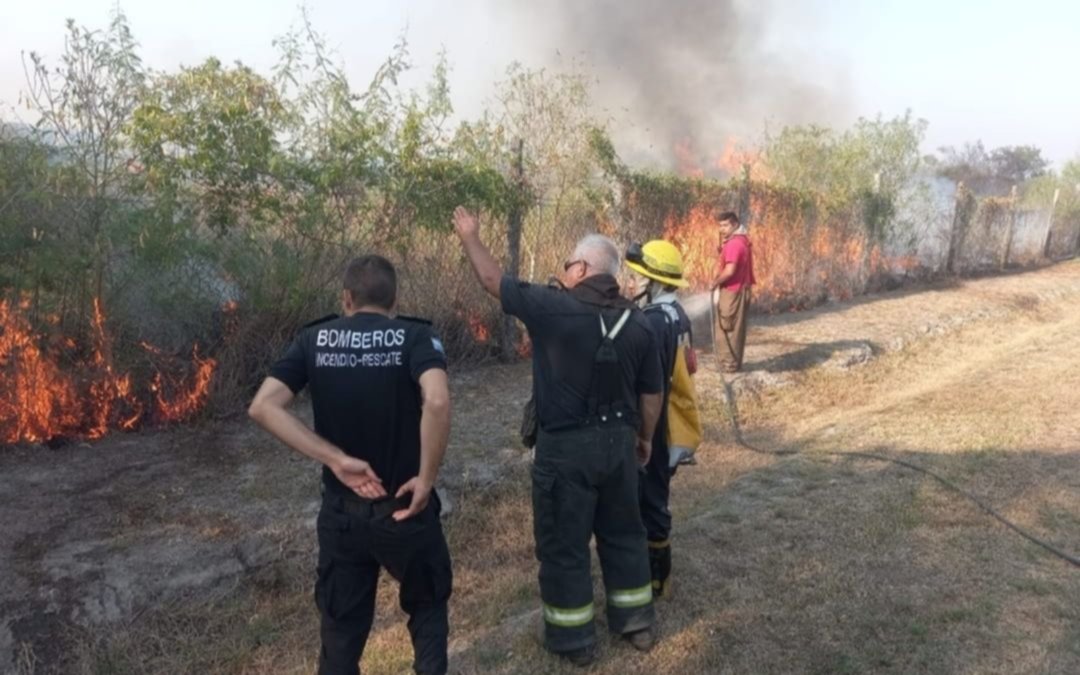 Arde Corrientes, con 20.000 hectáreas quemadas por día y más de 500 mil afectadas