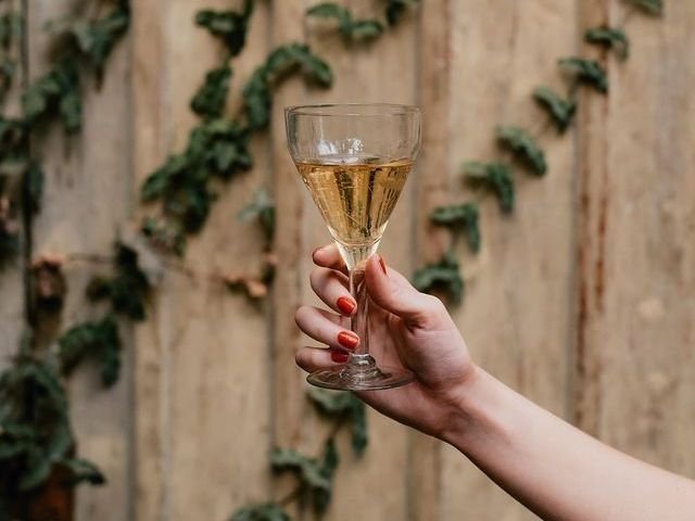 Vinos sustentables para tu corazón