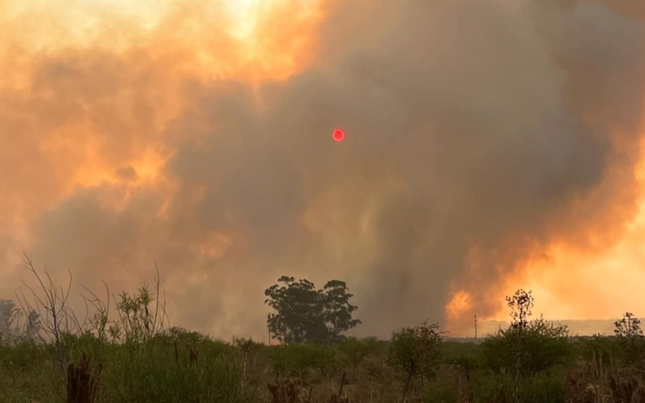 Dramática situación en Corrientes por los incendios: “El panorama es desalentador"