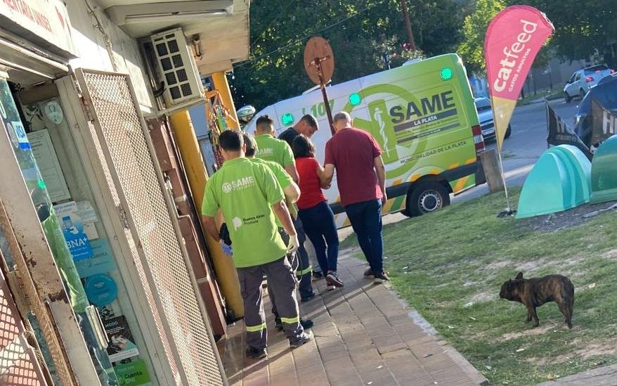 Brutal asalto en una librería de Tolosa: apuñalaron a la dueña