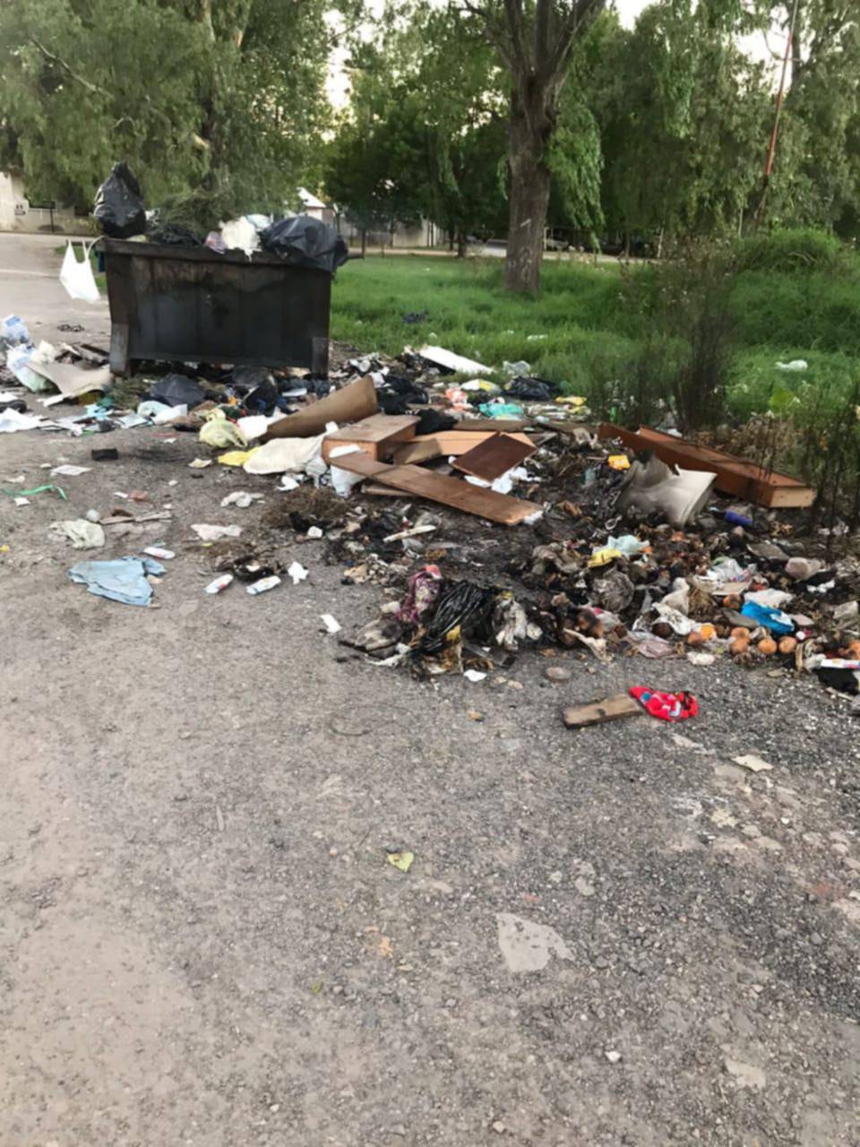 Denuncian que hay un basural en 120 bis y 87