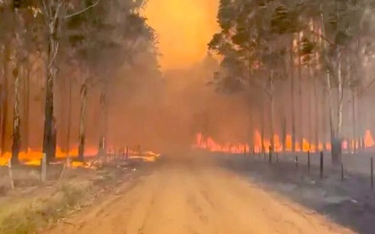 Corrientes: se quemó un 9% del territorio provincial