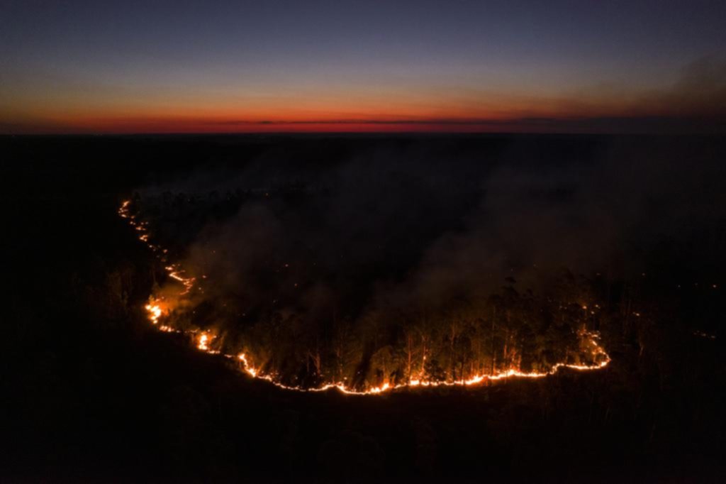 Fuego incontrolable: brigadistas contra más focos, que ya llegan al sur de Misiones