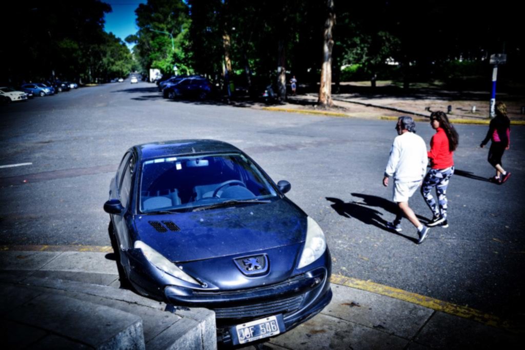 La Plata en imágenes: fotos de la semana