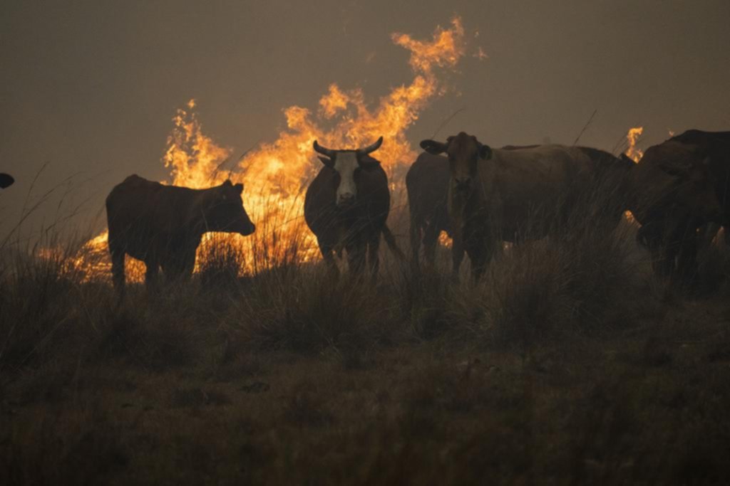 Arde Corrientes: varios focos siguen activos