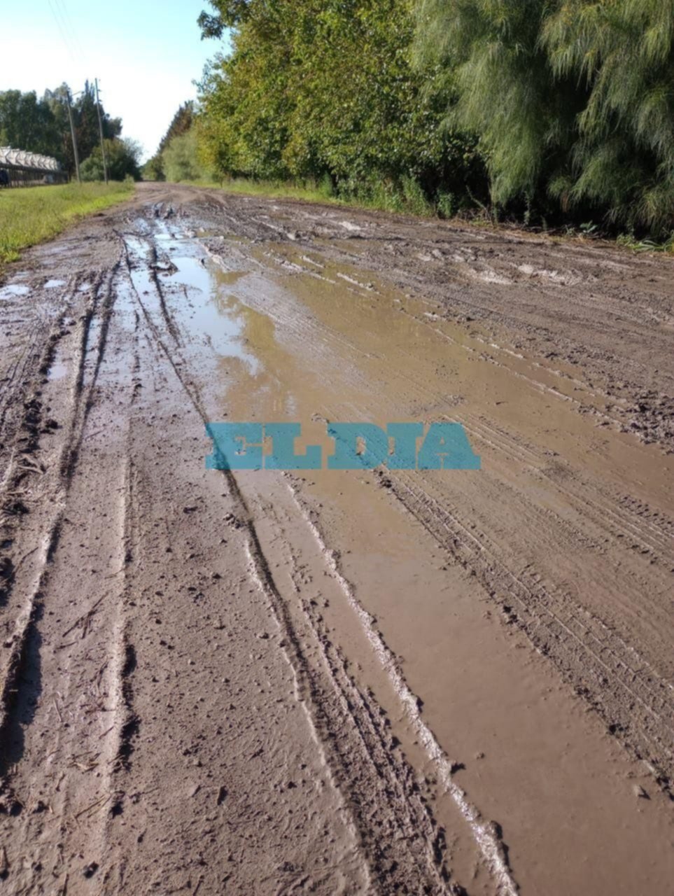 Drama por el estado de una calle rural en La Plata: "No podemos entrar ni salir"