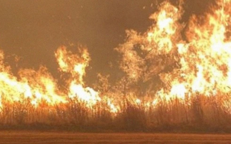 Continúan activos ocho focos de incendios en Corrientes y seis en Misiones