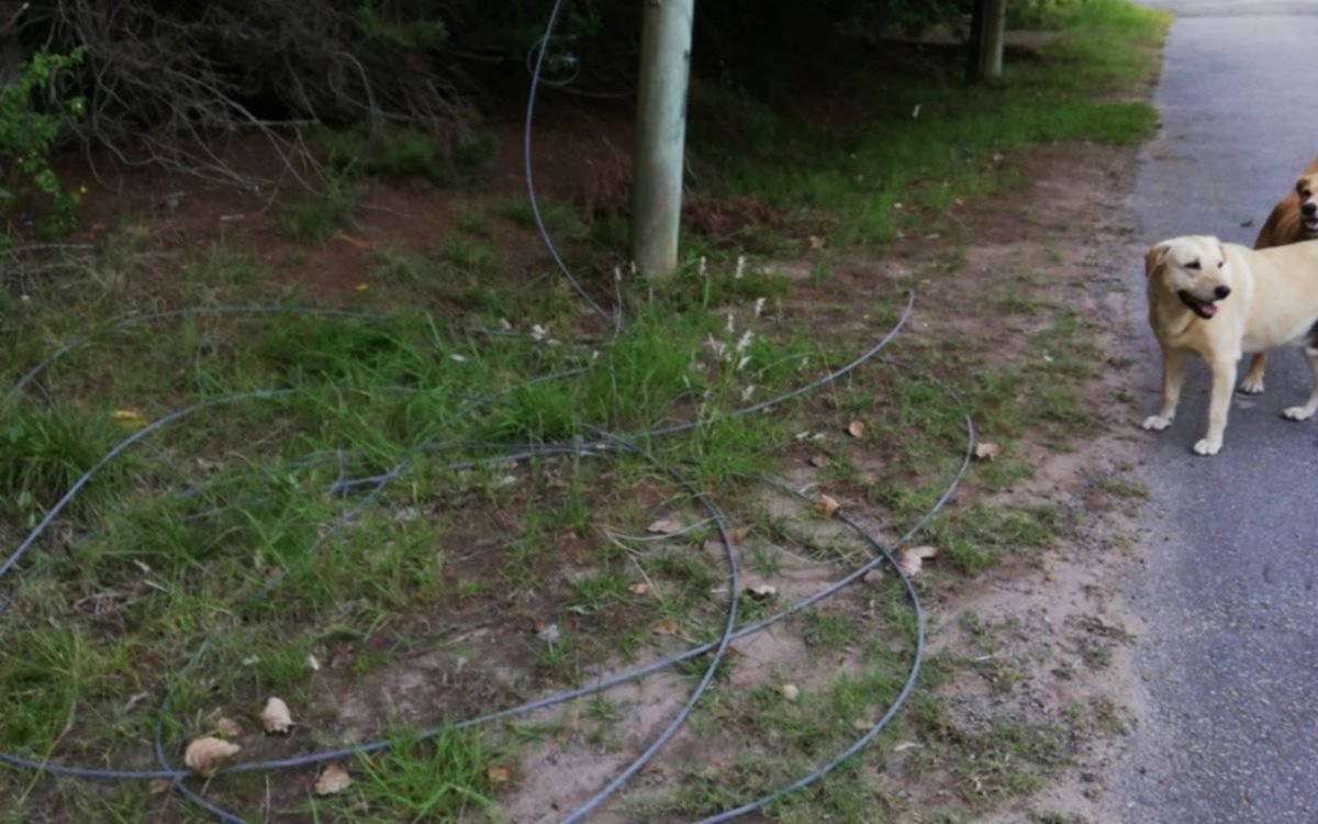 Villa Elisa: vecinos piden ayuda por cables tirados en la vereda