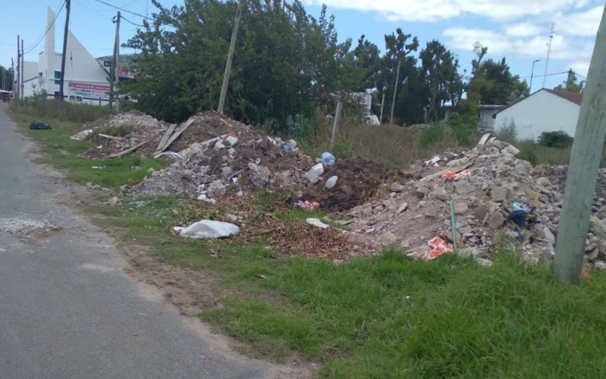 Bronca en barrio platense por basural en formación y "ratas que ya miden más de 20 centímetros"