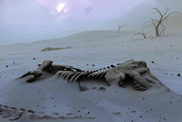 Dinosaurios: aseguran que se extinguieron por el cambio climático