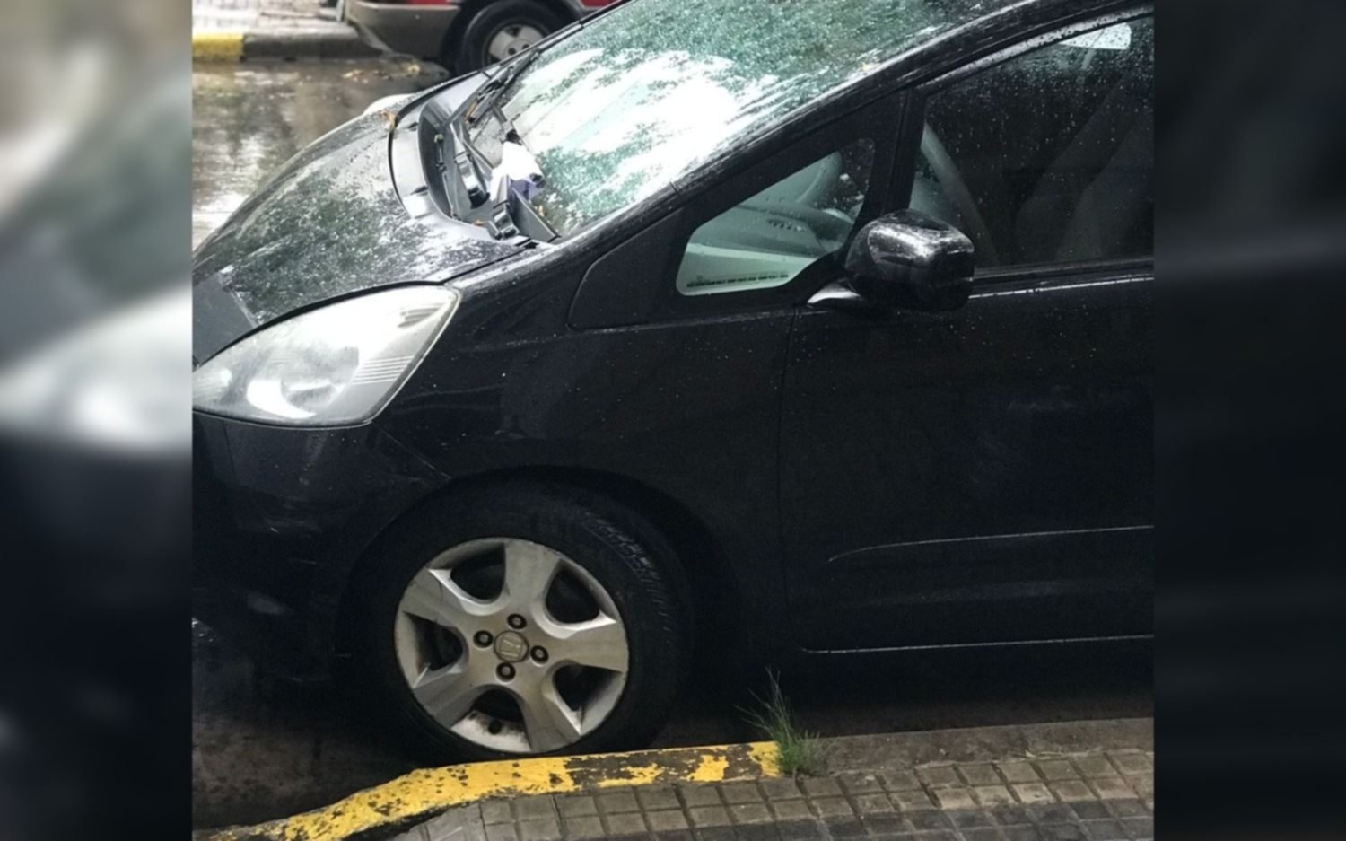 El campeón del "Estacioná donde quieras": doce horas frente a un estacionamiento