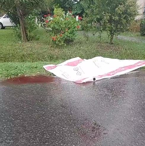 Horas sangrientas: asesinaron a un hombre en Los Hornos