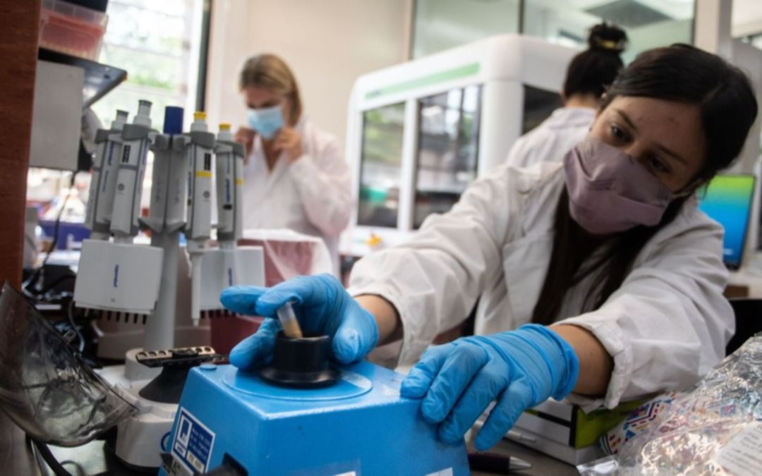 Coronavirus en Argentina: 9.487 nuevos casos y 86 muertes en las últimas 24 horas