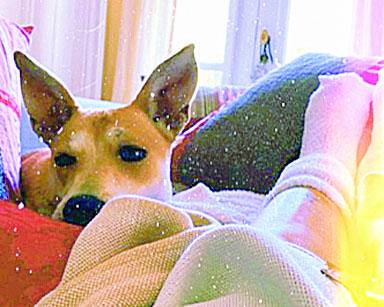 Vero Lozano volvió al país y se recupera con sus perritos