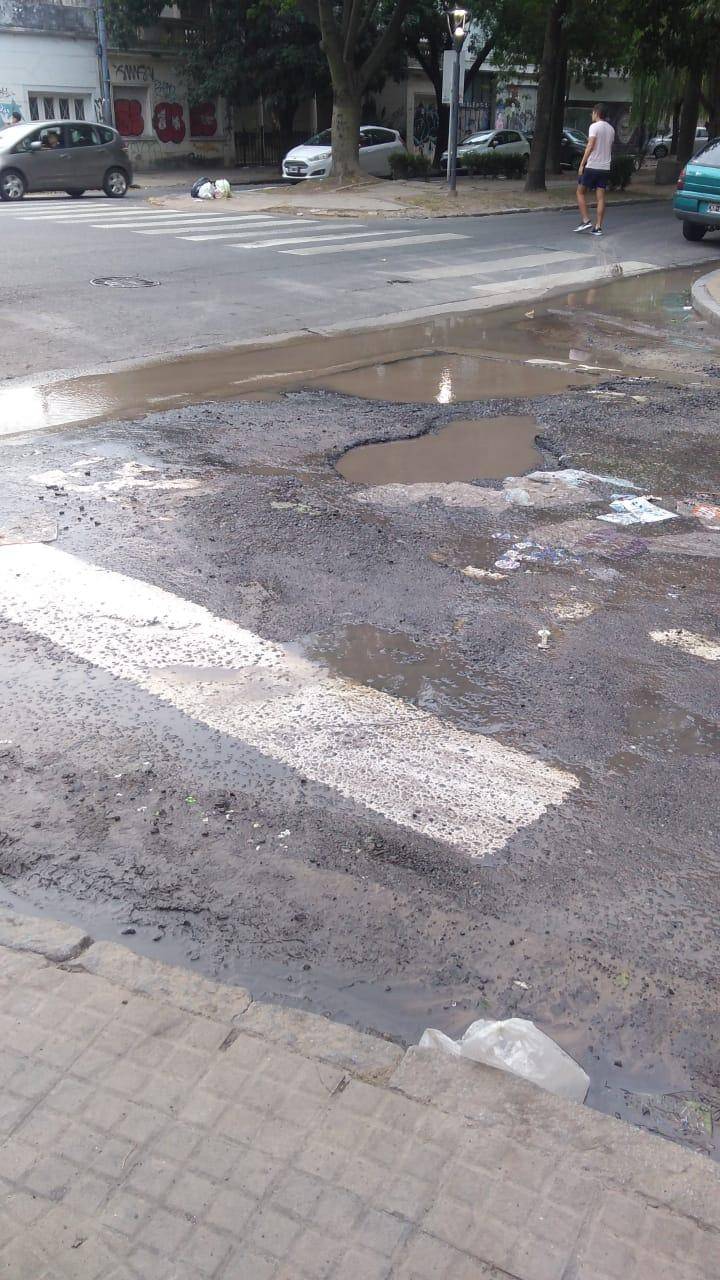 En 63 entre 12 y 13 denuncian pérdida cloacal