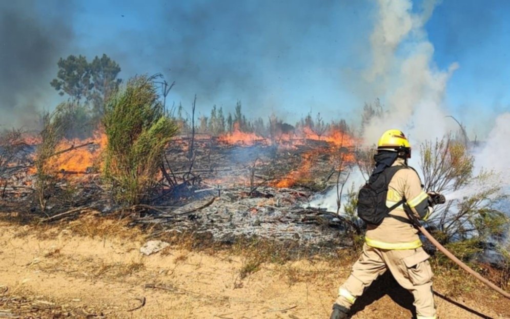 Sube a 24 la cifra de muertos por los incendios forestales en Chile