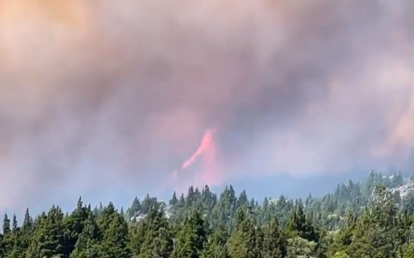 En condiciones extremas: importante incendio en el Parque Nacional Los Alerces