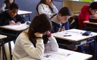 Sandra Ziegler: "Los problemas de la escuela secundaria no se resuelven con solo modificar el sistema de evaluación"