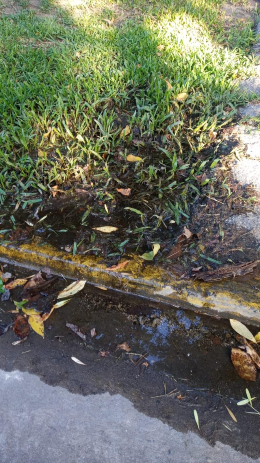 Agua que brota de la vereda en la calle 464 y 13c