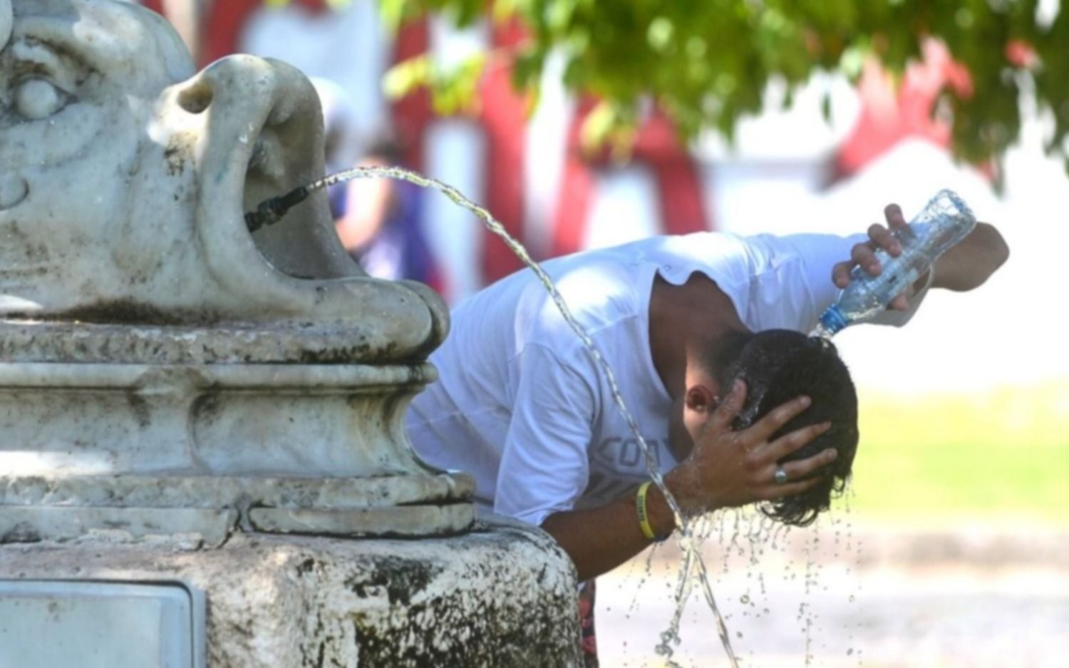 Continúan las altas temperaturas en La Plata: se esperan 37 grados para este sábado