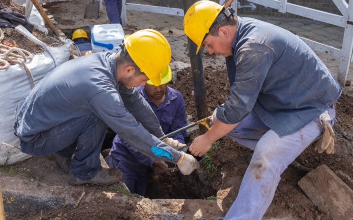 Cuáles son los barrios que no tendrán agua este lunes en La Plata