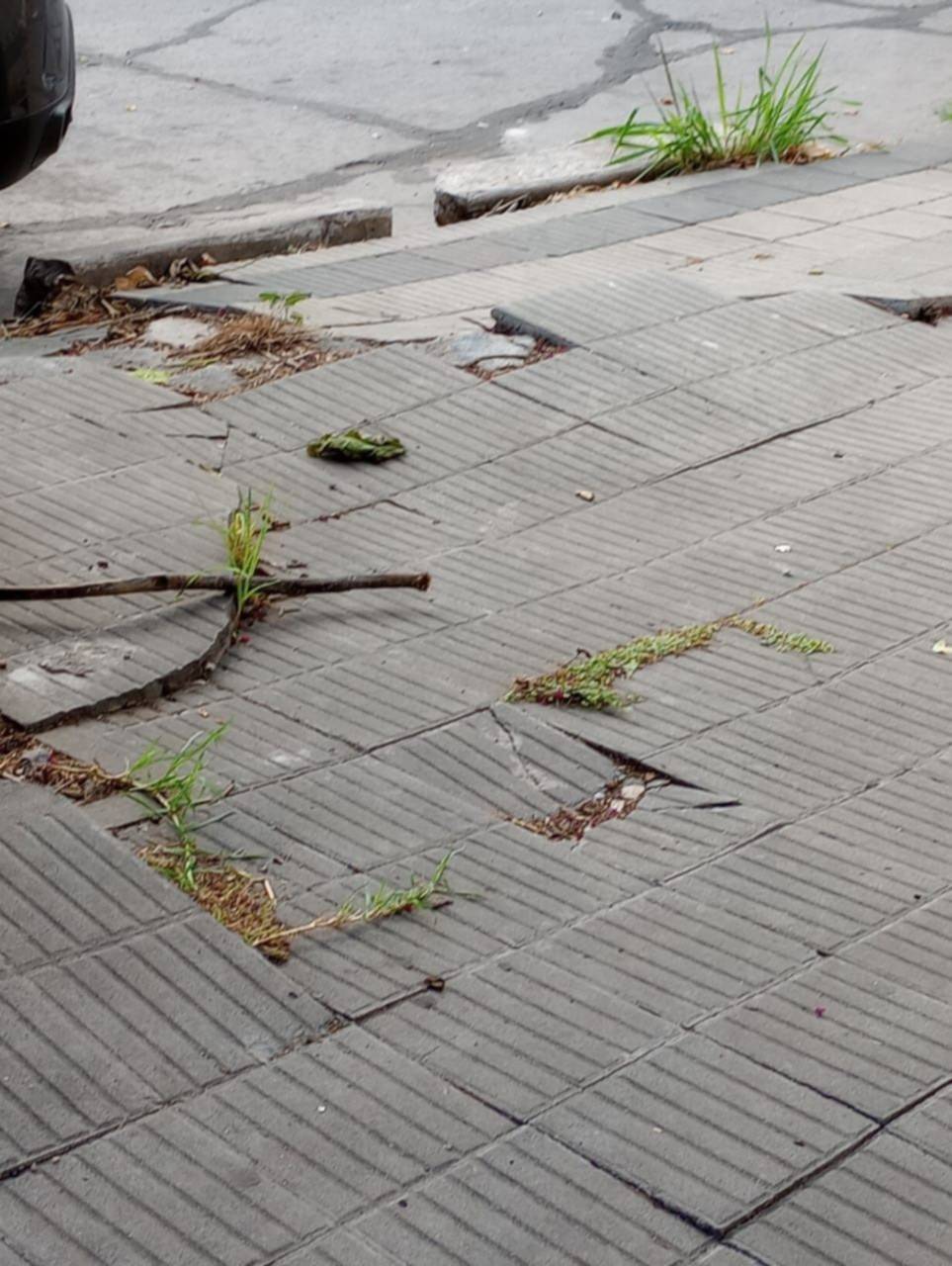 Un caño roto en 19 y 40 genera múltiples trastornos a los vecinos
