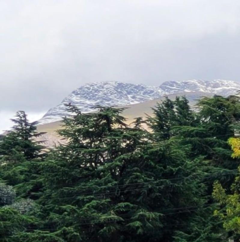 Inédito: nieve en pleno verano en Sierra de la Ventana