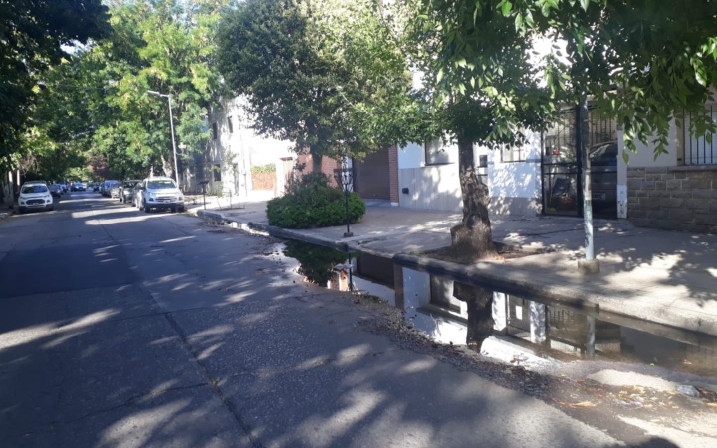 Vecinos de un barrio platense denuncian una cloaca "a cielo abierto"