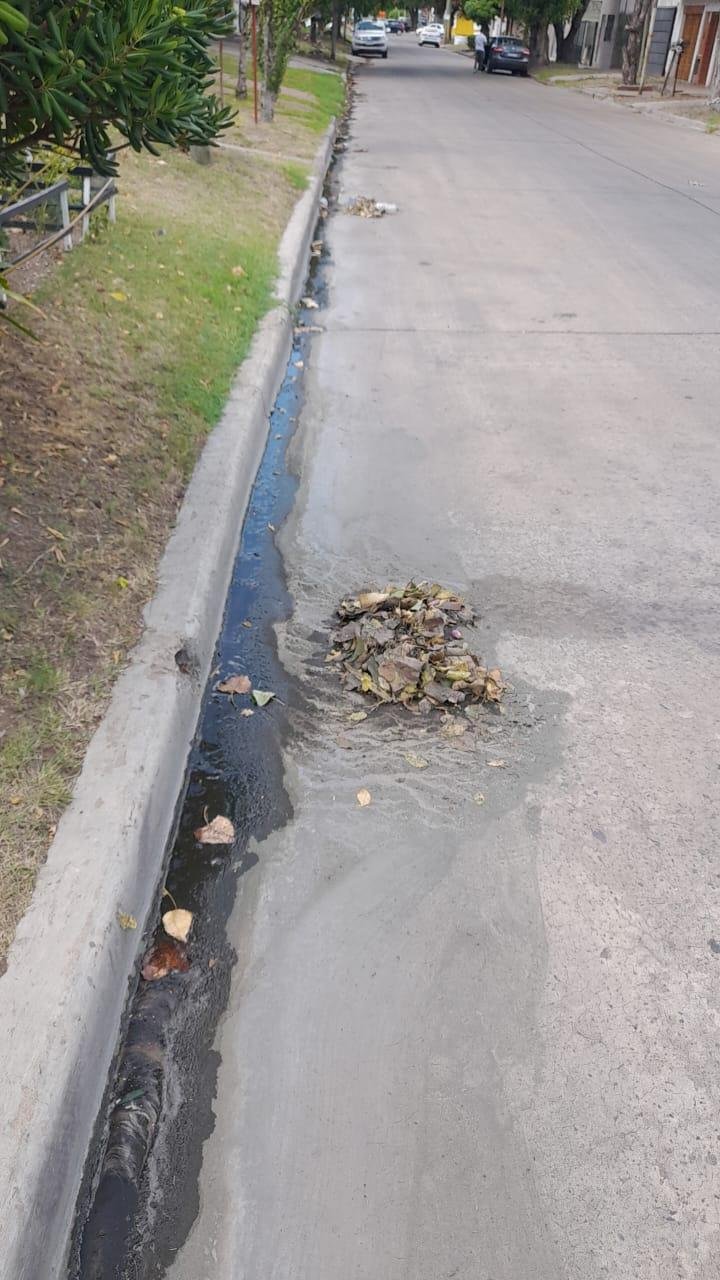 Piden por la mejora de la higiene urbana en 20 y 530