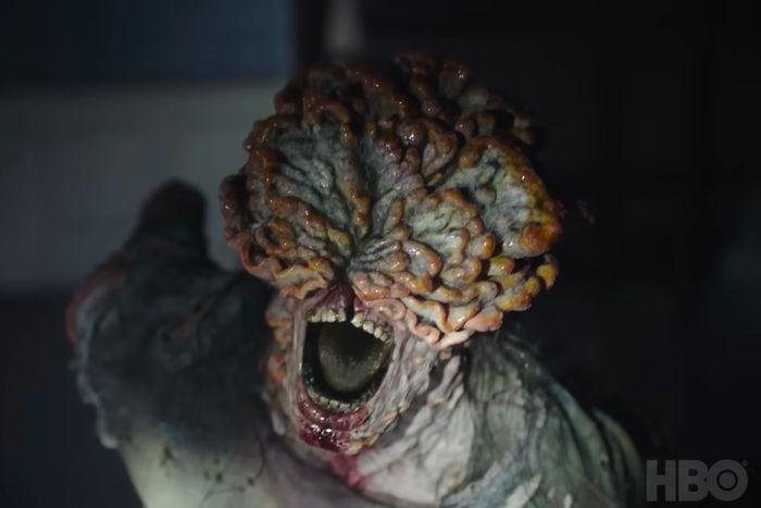 El hongo zombie de “The Last of Us”, ¿puede ser real?