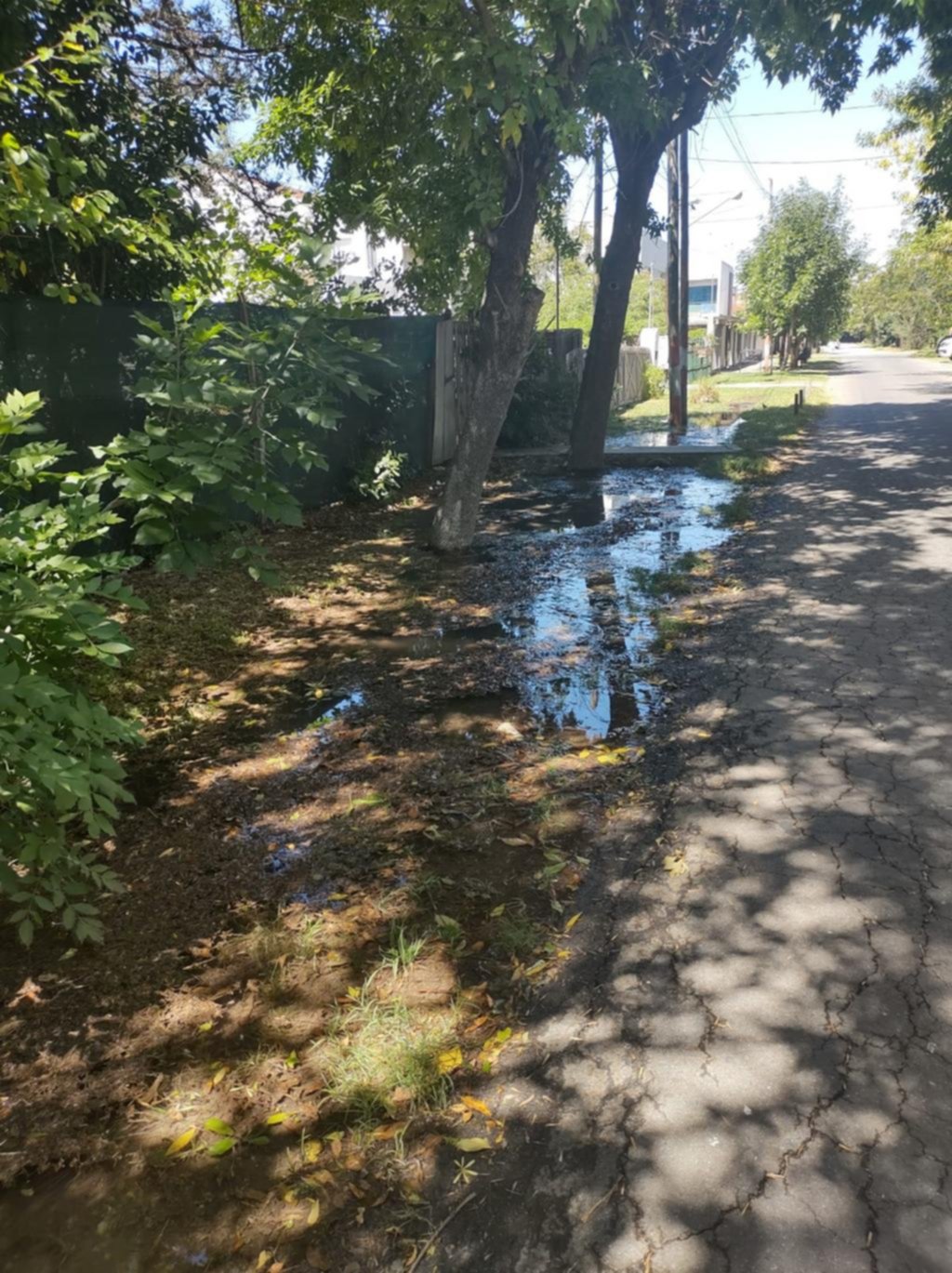 Una cañería rota deja a los vecinos de City Bell sin presión