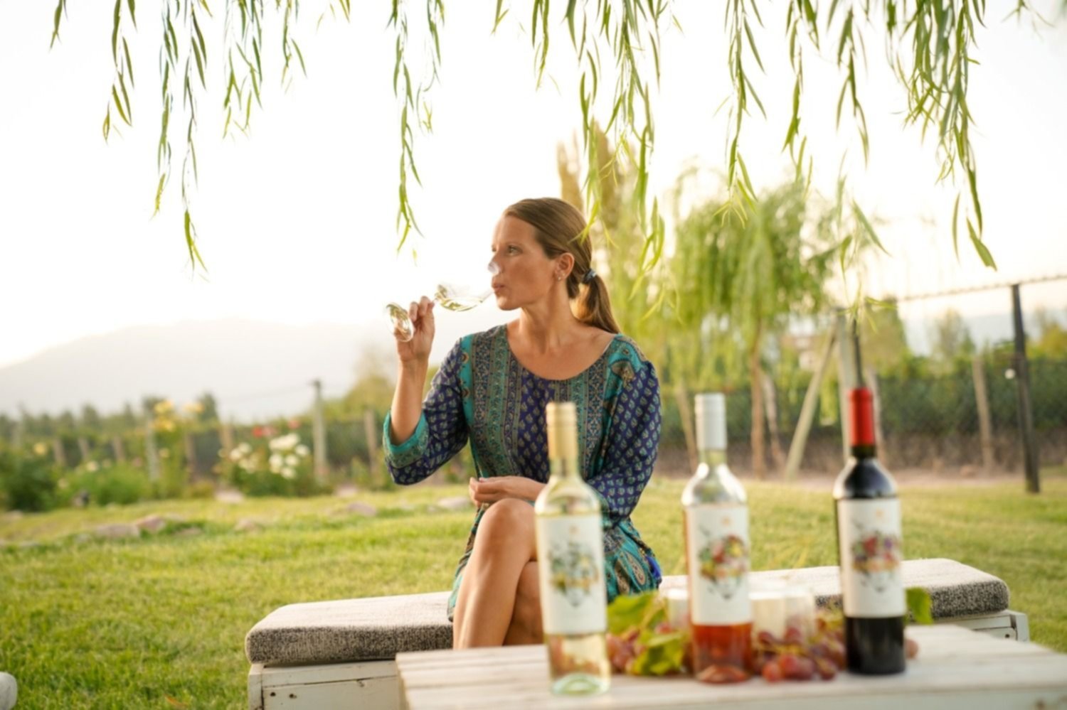 Bodega Vinorum: Nueva línea de vinos frescos