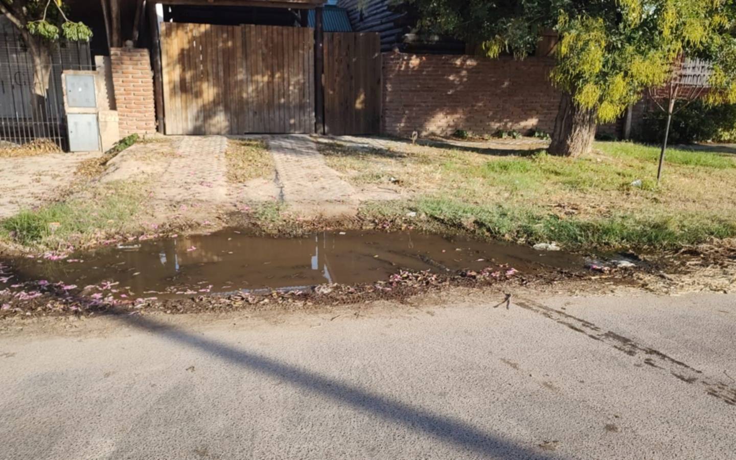 Perdidas de agua en Tolosa