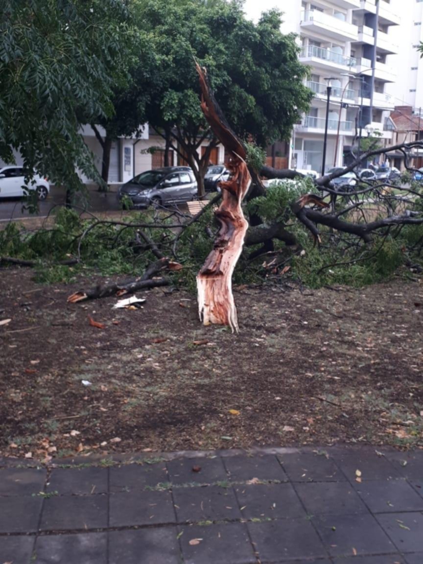 Sorpresivo chaparrón, viento, truenos y caída de granizo en la Ciudad