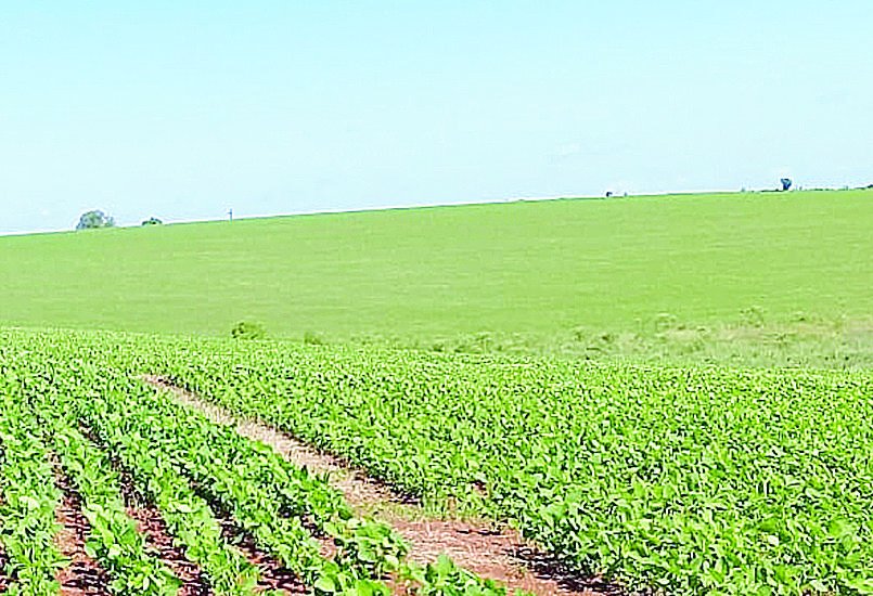 El PBI agrícola brasileño ya es más grande que toda la economía argentina