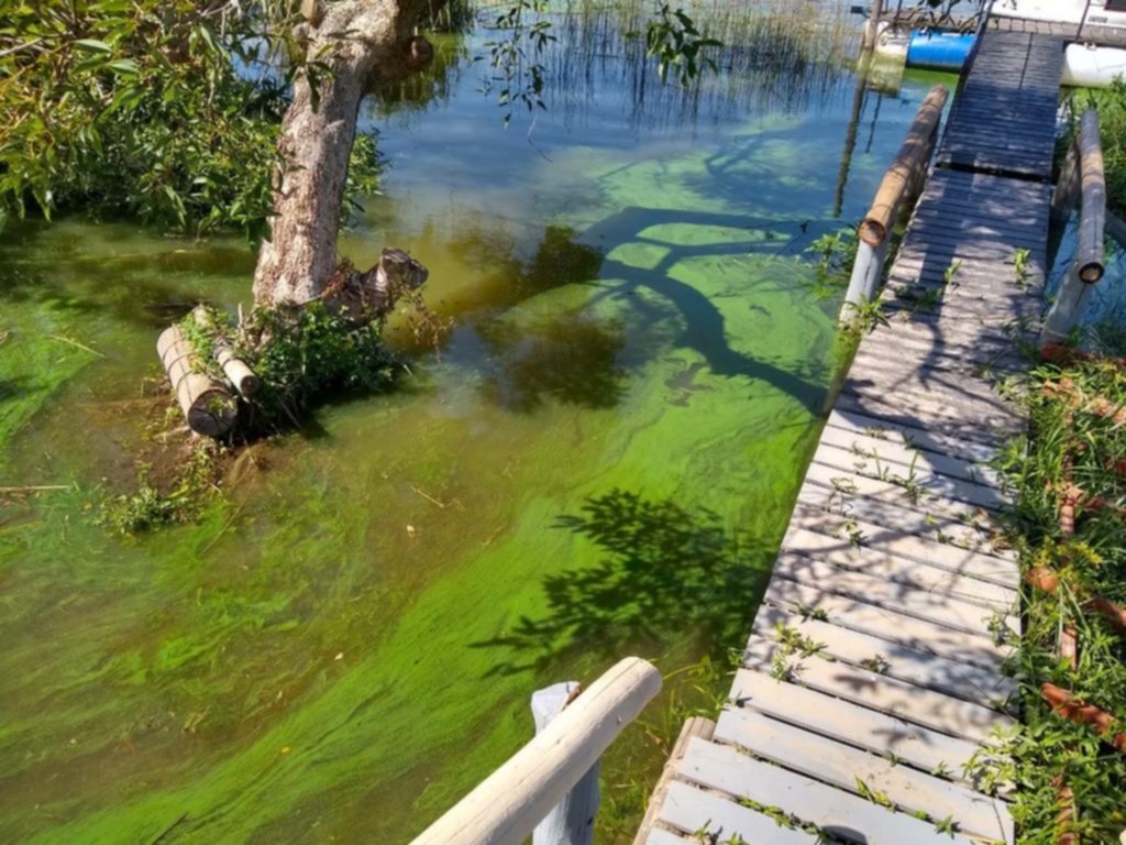 Una “bomba sanitaria” en la Región