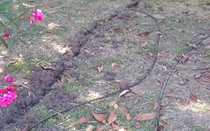 Vecinos de City Bell, hartos por los robos de cables subterráneos: "Tierra de nadie"