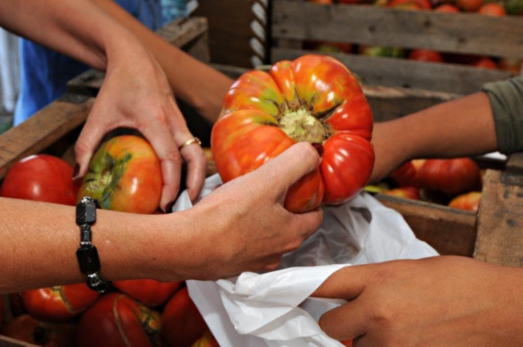 El “tomate platense”, de fiesta en Gorina